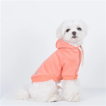 Ropa para perros